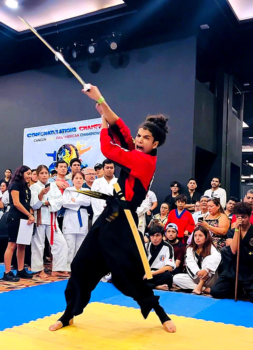 Supreme martial arts